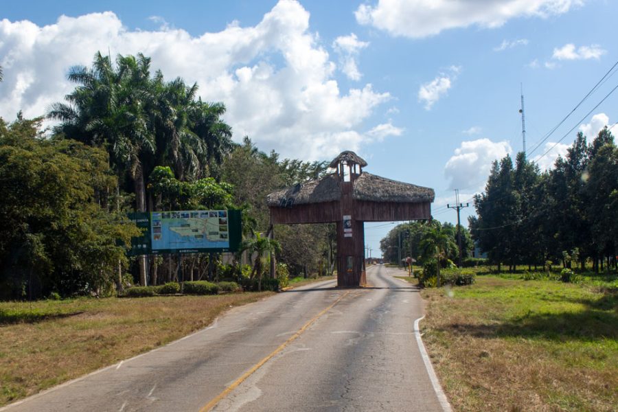 cienaga de zapata cuba