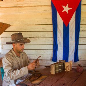 torcedor tabaco cuba viñales