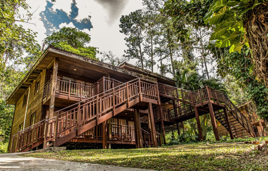 Rancho San Vicente (Complejo Viñales)